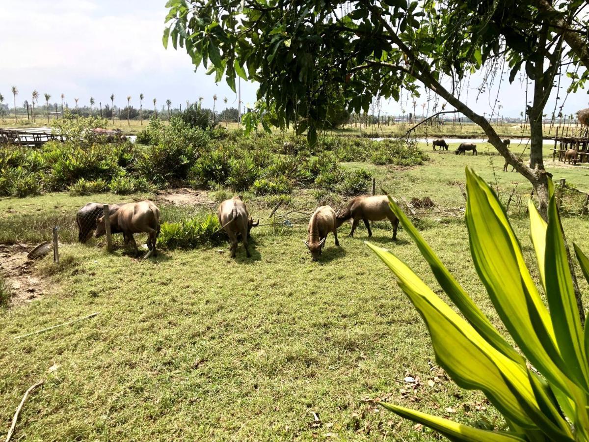 הוי אן The Quin Riverside Villa מראה חיצוני תמונה